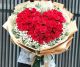 50 red roses- 50 وردة جورية حمراء
