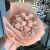 10 soft pink roses - 10 ورود وردية ناعمة 