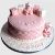 baby Pink Chocolate Cake